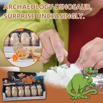 (H0826)Dinosaur Science Education Dinosaur Eggs 12 Bo xed Archaeological E xcavati