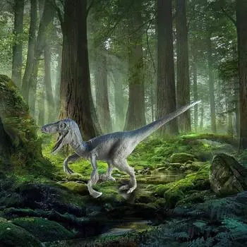 (H0826)Образовательная модель динозавра аллозавра, детская игрушка в подарок 5.91X1.97X3.54 inches (15x5x9cm) серый