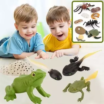 (H0826)Образовательная симуляция для детей. Лучшая модель цикла роста животных. Мультяшные игрушки.