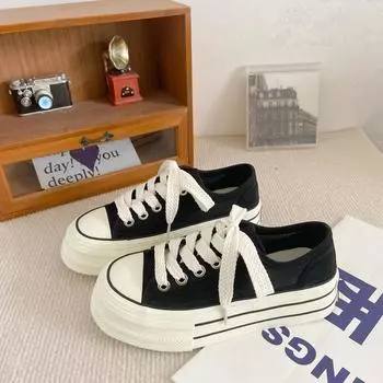 H1033 thick-soled mesh white shoes women s summer thin breathable 2025 new niche round head canvas board shoes 35 чёрный