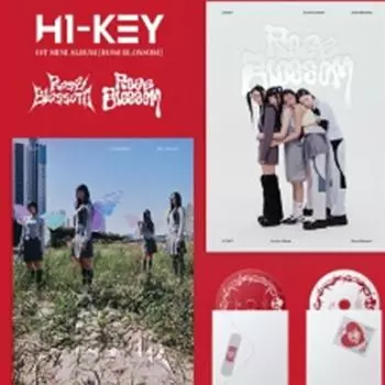 H1-KEY - Цветение розы (1-й мини ) случайный 0