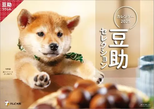 Настенный календарь Hagoromo Successive Beansuke Selection 2025 CL25-0396A