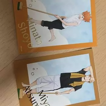 Haikyu Cleaning Postcard Bromide Hinata Miya Atsumu