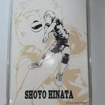Haikyu Hinata Shoyo Специальный посланник по туризму Сендай, Совет по искусству