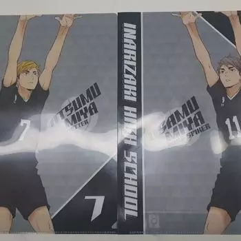 Haikyu Miya Atsumu Osamu Очистить пакет файлов L