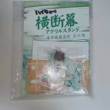 Haikyu Oikawa Toru Jump Shop Оригинальная картина Баннер Акрил
