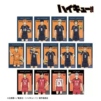 Haikyu: Решающая битва на свалке Торговая визуальная карта собрать Официальные товары Официальная лицензия [Официальный] Фильм!! (Единица/КОРОБКА) [Полный