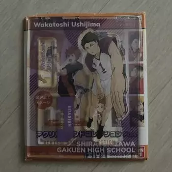 Haikyu Shiratorizawa Ushijima Acrylic