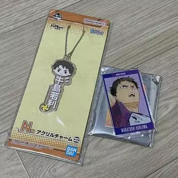 Haikyu Ushijima Акрил