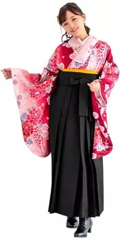 Хакама Выпускной колледж Великолепный Хакама [KYOETSU] Комплект, Церемония, Студенты, Женщины, (5. Карен, Л.)