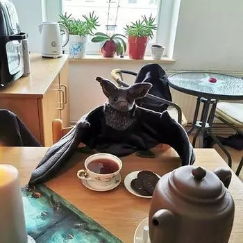 Хэллоуин Большая плюшевая игрушка для детей Обнимашки-мягкие игрушки для животных Мягкие объятия-пушистые подарки для мальчиков и девочек, украшения для малышей A