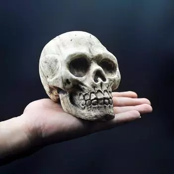 Хэллоуин Череп Украшение Пластиковый Поддельный Череп Модель Подвеска Статуя Скульптура Зомби Вечеринка Привидения Украшение Дома Страшный Реквизит