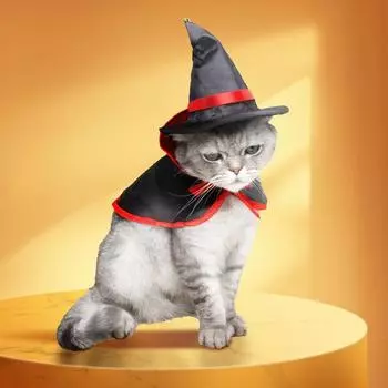 Хэллоуин Домашние животные Кошки Плащи + Шляпы ведьм Костюмы для косплея Тыквы Летучие мыши Товары для вечеринок Фотореквизит