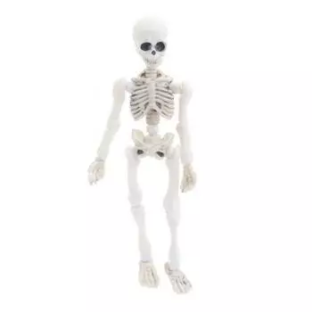 Хэллоуин Скелет Фигурка Подвижные Сочленения Человеческая Модель Скелет Статуя Скульптуры Домашний Офис Украшение Рабочего Стола
