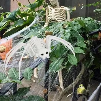 Хэллоуин Скелет паука Пластиковый скелет Животное Модель Украшения Реалистичная фигурка кости паука для стен Двери Окна Сценические шоу белый