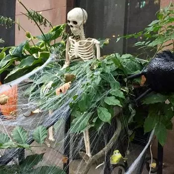 Хэллоуин Скелет Скелет всего тела Череп с подвижными суставами Украшение дома с привидениями Страшная атмосфера