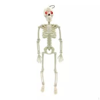 Хэллоуин Скелет Украшения Полное Тело Подвижные Суставы, Скелеты Страшные Реалистичные Человеческие