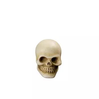 Хэллоуин Ужас Череп/ Креативные Аксессуары для Украшения Сцены Настольные Маленькие Украшения DIY Изделия из Смолы One Size