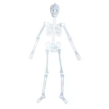 Хэллоуин Ужасы Светящиеся Скелеты Украшения Бар КТВ Сцена Подвеска Украшения One Size