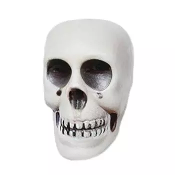 Halloween Hanging Skull Decoration Realistic Plastic Human Head Prop Spooky Skeleton Head Ornament with Lanyard for Home Party Haunted House Decor 1pc