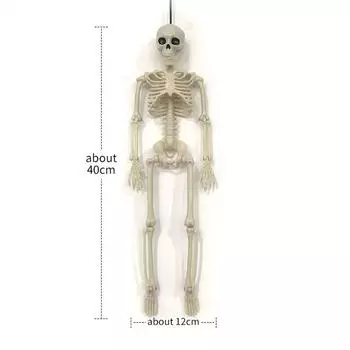 Halloween Skull Frame Simulation Human Plastic Skull Decoration Props Secret Room Haunted House Human Skeleton Decoration Toys 40Cm standing skeleton frame