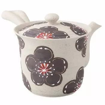 Hamato Hasami Ware Issei Pottery Легкий чайник Super Mesh Tea Большой 460 мл Ichichin Daiume 287930 Бежевый (с напряжением) бежевый