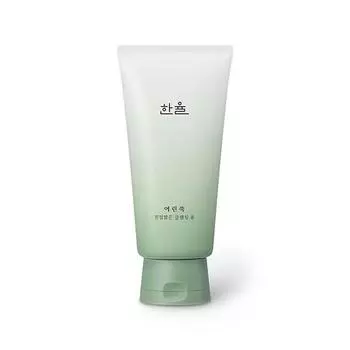 Han Yul Young Mugwort True Clear Очищающая пенка, 120г, 1 Известная корейская косметика, популярные продукты