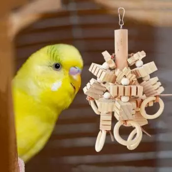 Hanging Bird Chewing Toy Wooden Bite String Parrot Cage Bite Toy Relieve Boredom parrot toy