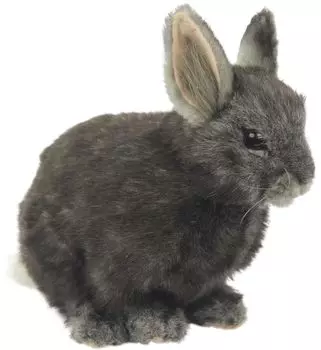 HANSA BH8129 HANSA Pygmy Rabbit Gray 18