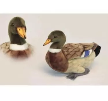 HANSA Plush Mallard 34cm BH3601 Acrylic