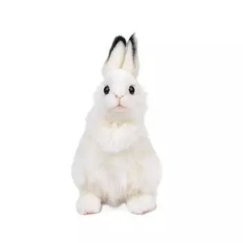 Hansa Toy 7448 Кролик Белый плюшевая игрушка, 24см, Разные цвета, Популярные игрушки для корейских детей