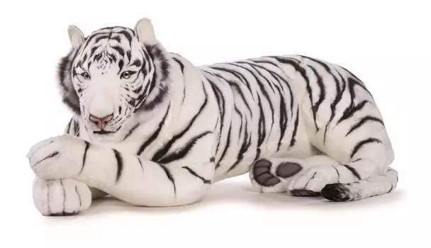HANSA White Tiger 145cm Acrylic No.5920
