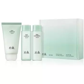 Hanyul Artemisia Moisture Soothing Cream, специальный набор большой емкости, 1 шт., 65 мл Популярная корейская косметика