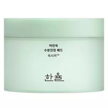 Hanyul Artemisia Moisture Soothing Pads 170мл, 60 шт, 1 шт.