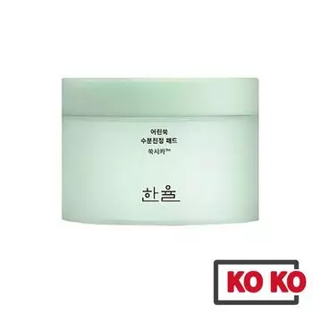 [HANYUL] Успокаивающие подушечки с успокаивающей водой Pure Artemisia, 60 листов 60 sheet