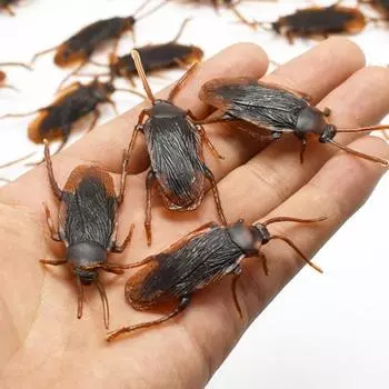 HaoYunLai 12 шт. забавная пластиковая имитация таракана, ошибка, игрушка-трюк, реквизит для Хэллоуина