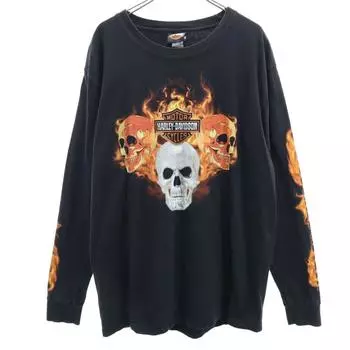 HARLEY DAVIDSON 00s Skull Long sleeve T-shirt M black Ron T Men s Used