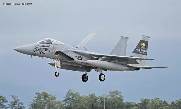 Hasegawa Air Force Eagle 306SQ 35th Anniversary Special Paint Plastic Model 02226 1/72 Self-Defense F-15J