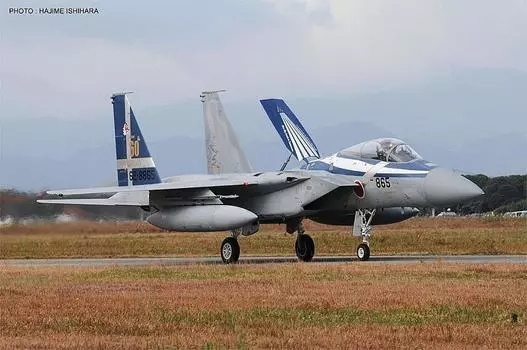 Hasegawa Airplane Series Eagle Force 60th Anniversary Special Part 02145 1/72 F-15J Air Self-Defense 3