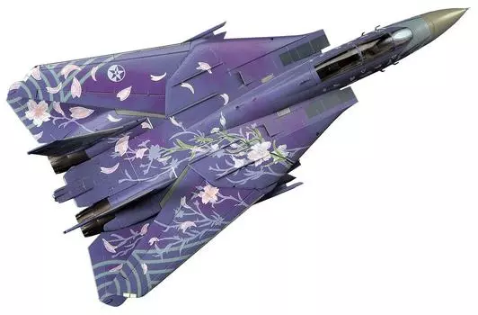 Hasegawa Airplane Series Tomcat Ace Combat Sakura SP291 1/72 F-14D