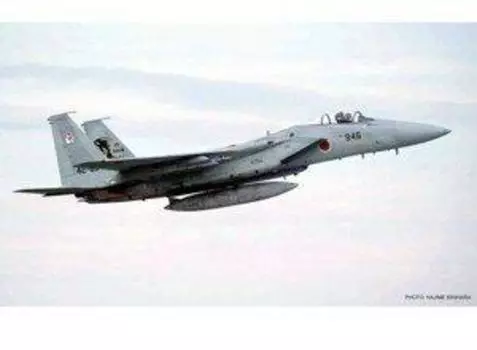 Hasegawa Eagle Competition 00887 1/72 F-15J Combat 2007