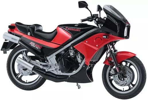 Hasegawa Kawasaki KR250 Цветной пластик Модель 21740 1/12 (КР250А) Черный Красный чёрный