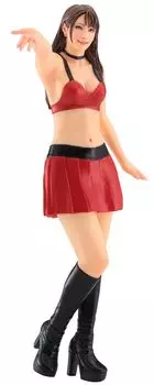 Hasegawa Real Figure Collection Auto Companion неокрашенный набор из смолы SP564 1/12 № 32
