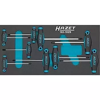 HAZET Torx Profile Screwdriver Set Multicolor 163-182/9 T-Handle -