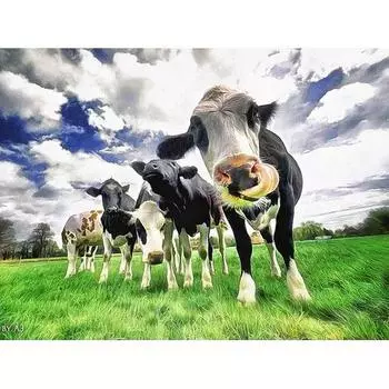 HC 5D полная алмазная вышивка «сделай сам» квадратная алмазная живопись корова вышивка крестиком Алмазная мозаика 20*30 cm