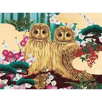 HC 5D полная квадратная дрель 5D diy Алмазная вышивка сова полная алмазная живопись вышивка крестом 20*30 cm