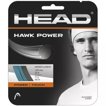 HEAD Hawk Power Tennis Single 125 281022 String, String, PT,