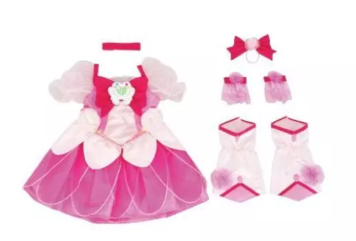 Heartcatch Characterito Kids Cure Blossom PreCure!