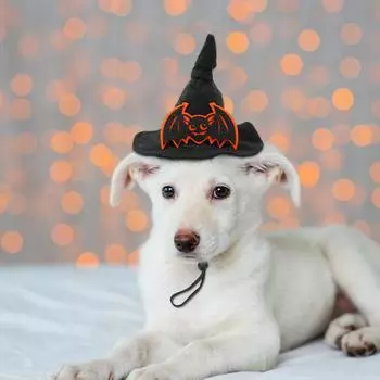 Хеллоуин паутина шляпа ведьмы эластичная повязка для волос товары для животных собака кошка тыква летучая мышь шляпа аксессуары для волос счастливой вечеринки в честь Хэллоуина One Size