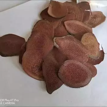 HELLOYOUNG Традиционная китайская медицина, 30 г чистой натуральной крови, рога оленя